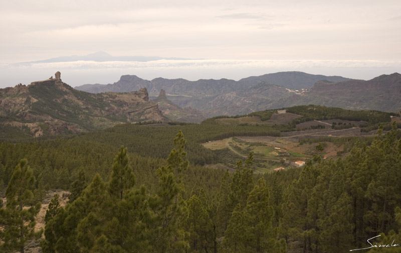 Otra vueltita por el campo...