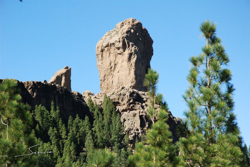 Roque nublo....