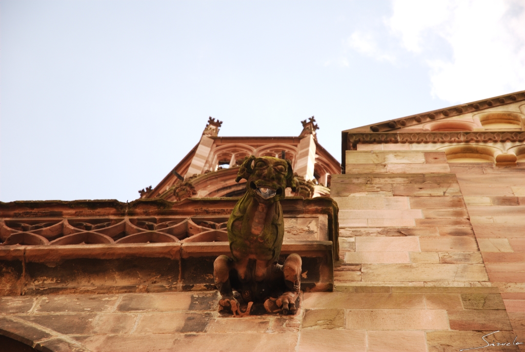 Catedral de Friburgo...