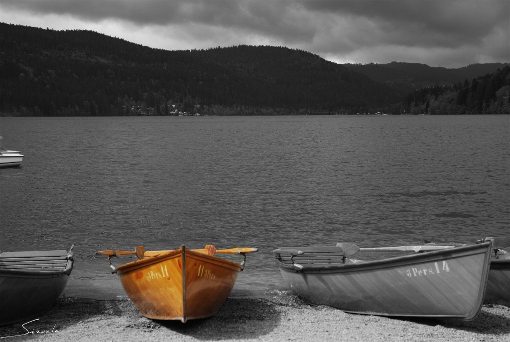 Titisee...en b/n