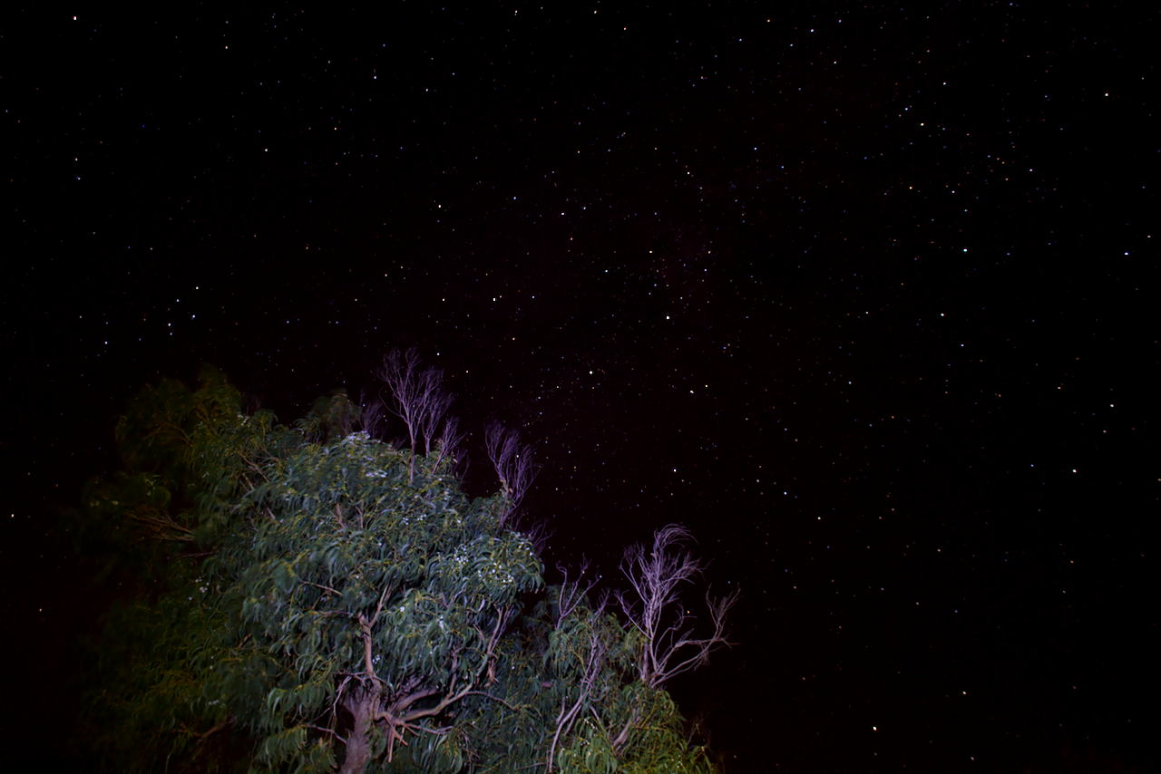 Noche herreña 2/2