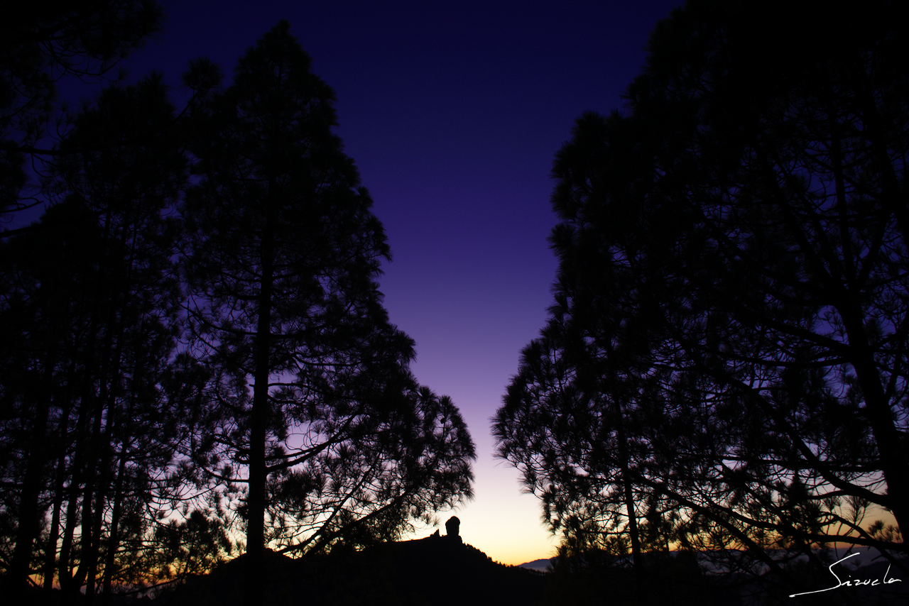 Roque Nublo (3/4)