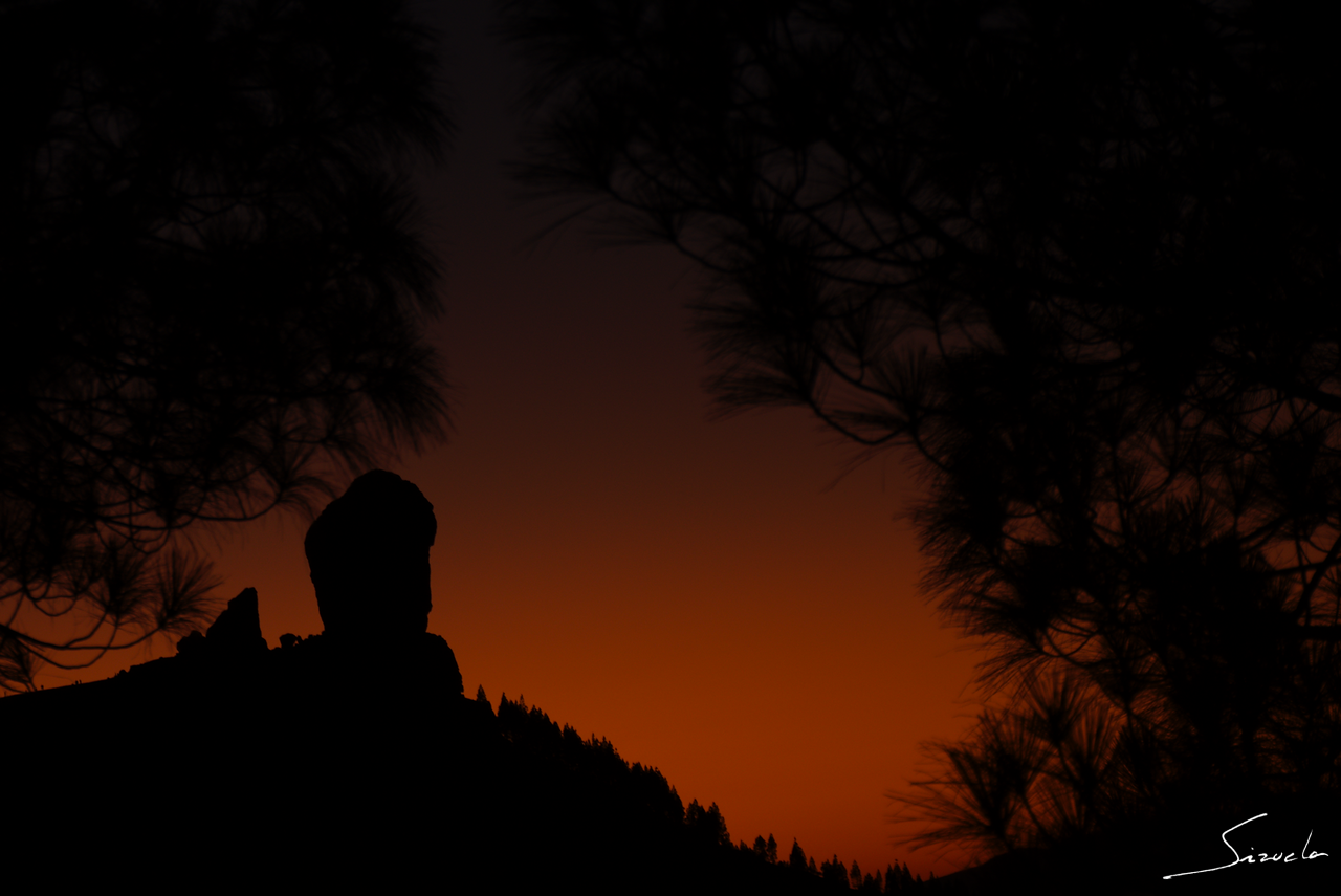 Roque Nublo (4/4)